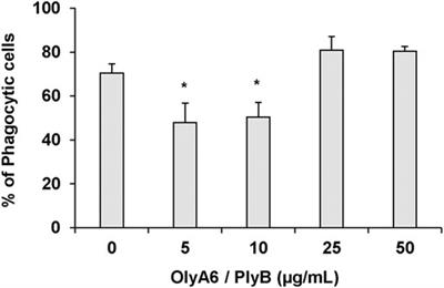 Ceramide Aminoethylphosphonate as a New Molecular Target for Pore-Forming Aegerolysin-Based Protein Complexes